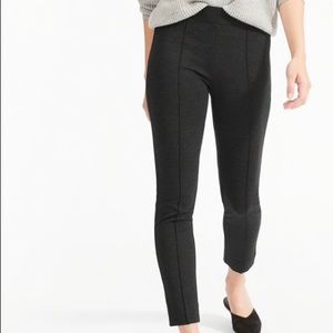 Everlane Ponte Pant